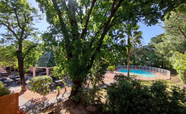 jardin-3